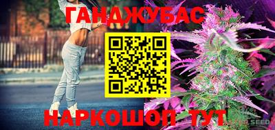 PSILOCYBIN Бугуруслан