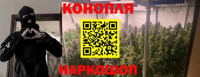 spice Будённовск
